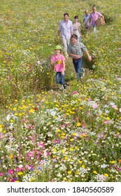 Vertical Shot Of A Family With Multiple Generations Walking Along A Meadow Full Of Wildflowers.