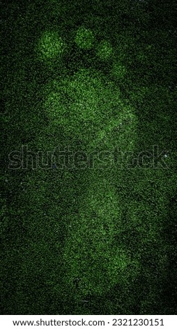 A vertical shot of a foot print on a mossy green surface
