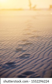 A Vertical Shot Of Footprints In A Sandy Shore With A Bright Background - Concept Footprint In The Sand Poem