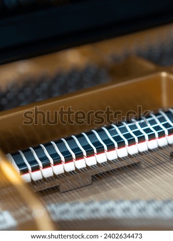 A vertical shot of the hammers of the piano on the blurred background