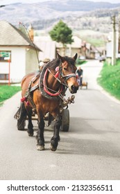 A Vertical Shot Of A Horse Pulling Wagon In Village 