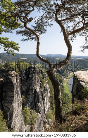 Similar – Image, Stock Photo Saxon Switzerland