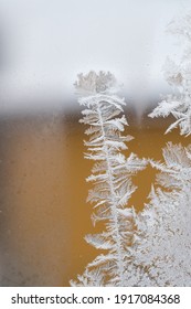 A Vertical Shot Of Icy Floral Patterns On The Glassy Surface