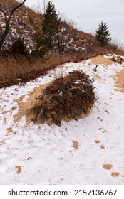 A Vertical Shot Of Indiana Dunes National Park, Indiana, USA, Lake Michigan, Great Lakes, Winter