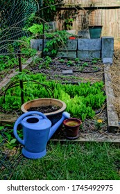 A Vertical Shot Of Lettuce Plants Growing In A Small Garden Plot