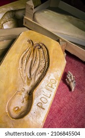 Vertical shot of an octopus plaster mold to make Sicilian "martorana fruit", in the background other molds. Traditional objects of Sicilian pastr