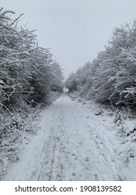 A vertical shot of a path surrounded by snow-covered trees under a cloudy sky