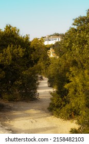 A Vertical Shot Of A Path Through Dense Green Trees Leading To Houses On A Clear Blue Sky Background