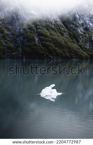 Similar – romantic ducks Lake Clouds