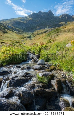 A vertical shot of a river streaming in a middle of a green landscape in the Tour Du Mount Blanc