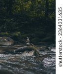 A vertical shot of rocks perfectly balanced on top of each other on a river in a forest