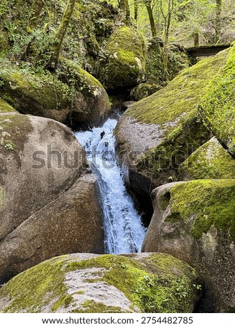 A vertical shot of a rushing stream flowing through large mossy rocks in Braga. The scene captures the crisp white water splash against the rich green textures of a Portuguese woodland.