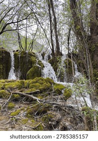 A vertical shot showcasing a pristine alpine waterfall cascading down vibrant green mossy tufa rock formations among spring trees.