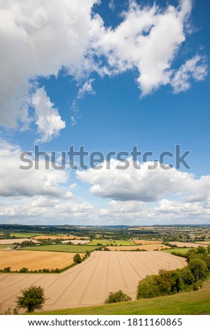 Similar – Foto Bild grüne Weite Sommer