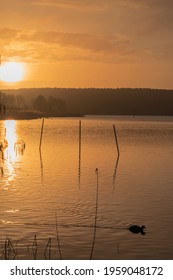 A Vertical Shot Of A Single Fish Swimming In Calm Water During Sunset With Silhouettes Of Hills And Cloudy Sky