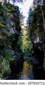 A Vertical Shot Of A Small Water Stream In The Forest