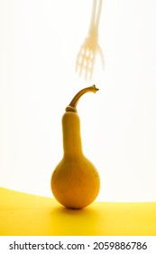 A Vertical Shot Of A Spooky Skeleton Hand Reaching For A Squash Against A White Background