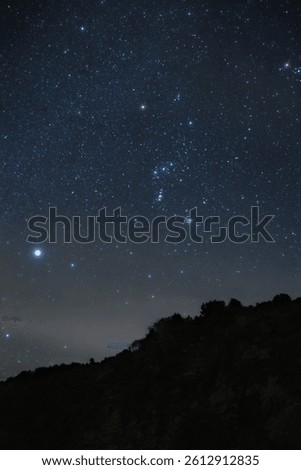 A vertical shot of a starry sky