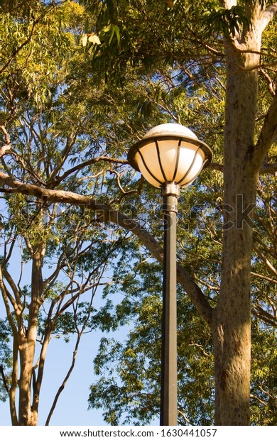 A vertical shot of a street light with the\
trees in the background