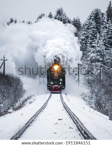 A vertical shot of a train emitting smoke in the forest in the winter