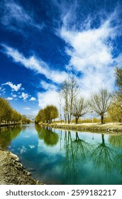 A vertical shot of trees with a reflection on a pond under the blue sky