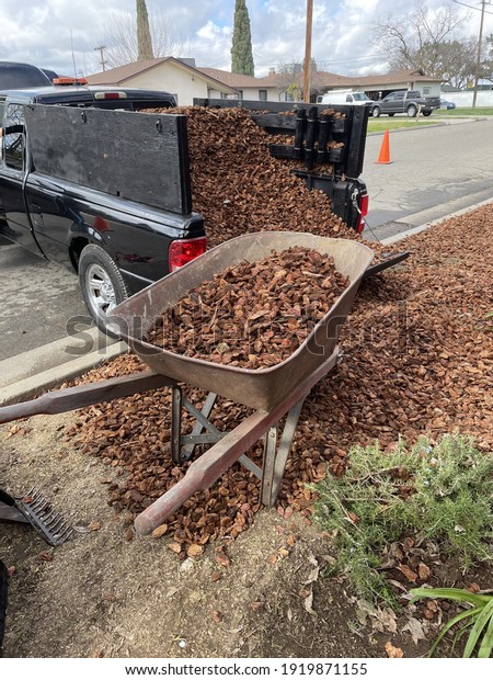 A vertical shot of a wheelbarrow and a pickup truck\
bed full of wood chips