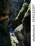 Vertical shot of a wooden walkway through Liechtensteinklamm, Austria. Narrow, rocky canyon with mossy cliffs in the Austrian Alps.