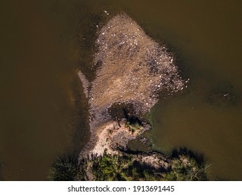 Vertical Shots, Molonglo River, ACT, January 2021