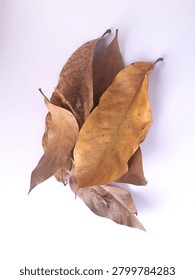 a vertical stack of dry brown leaves (mangifera indica), piled in the center on white. commonly used as an organic autumn background mockup.