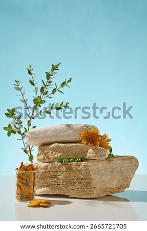 Vertical stone stack with herbal leaves, marigold petals, and seed fragments placed in soft daylight. Botanical product staging concept for clean cosmetic or vegan skincare visuals.