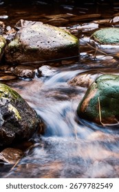 A vertical of a stream flowing through rocks covered with moss