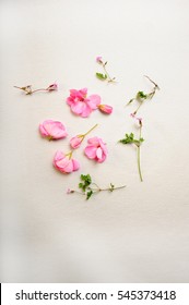 Vertical Top Angle View Of Pink Flower Petals And Tiny Flowers On White Background.