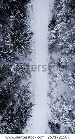 Vertical top down view of icy road trough forest, Winter snow covered spruce treer, Aerial top down drone view