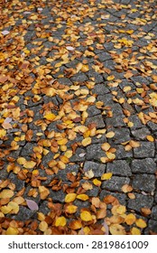 Vertical top-down background view of bright yellow and orange fallen autumn leaves covering a grey stone cobblestone road in a city park.