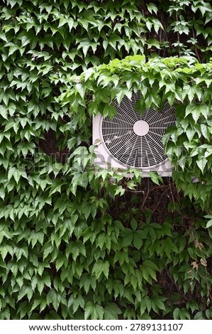 Vertical view of an air conditioning system unit overgrown with green climbing plants