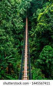 Vertical view of Doi Tung Tree Top Walk is long walkway among the trees of the Mae Fah Luang Garden at 30 meters above the ground at Mae Fah Luang garden, Chiang Rai Thailand.