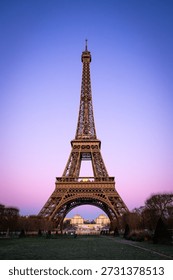 Vertical view of the Eiffel Tower at sunset with a pink and purple gradient sky. Iconic Parisian landmark framed by winter trees and the Champ de Mars park during twilight in France