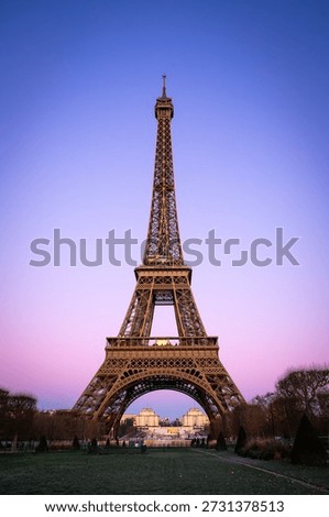 Vertical view of the Eiffel Tower at sunset with a pink and purple gradient sky. Iconic Parisian landmark framed by winter trees and the Champ de Mars park during twilight in France