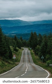 A vertical view of an empty road surrounded by trees and hill on a cloudy day in Skye island, Scotland