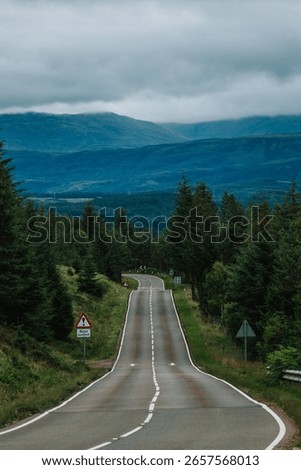 A vertical view of an empty road surrounded by trees and hill on a cloudy day in Skye island, Scotland