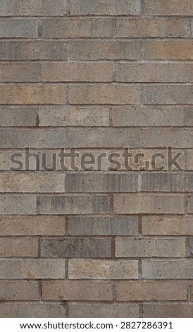 A vertical close‑up view of a flat brick and mortar wall surface with a typical brickwork pattern. The bricks are varicolored in tan, reddish brown, black and brown, and their faces are porous, uneven and rough. The bricks show chips and cracks, and the mortar is porous and smooth as it fills the joints between the bricks.