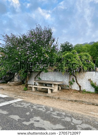Vertical view of flowering trees and rustic stone picnic table on the Camino Portugués da Costa