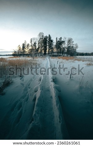 A vertical view of a frosen path leading to thr trees in winter at sunset