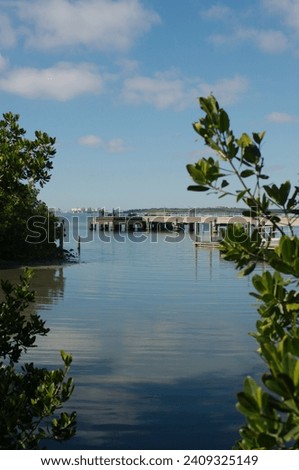 Vertical view with green tree branches on both sides. on bayside at Jungle Prada de Narvaez Park looking west in St. Petersburg, Florida on a sunny day. Pier in the background. Blue sky and calm water
