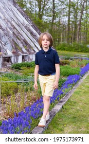 Vertical View Of Handsome Little Blond Boy In Casual Clothes Walking On A Small Ledge Next To A Bed Of Blue Bugle Flowers