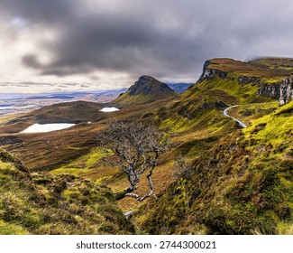Vertical view of the iconic lone tree overlooking dramatic hills and a winding road in the Quiraing on the Isle of Skye, Scotland, creating a scenic mountain landscape ideal for travel backgrounds.