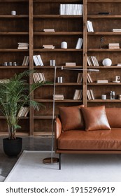 Vertical View Of Living Room In Modern Apartment With Stylish Interior Design, Houseplant Near Couch And Collections Books On Bookshelves In Library