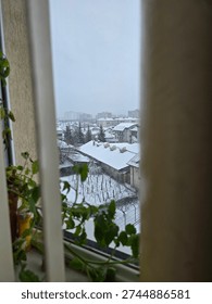 Vertical view looking out through a blurred window frame and indoor plant at a snow-covered urban neighborhood with houses, a dormant backyard vineyard, and distant apartment blocks.