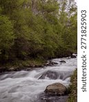 Vertical view of mountain river rapids flowing through forest in Andorra, with silky moving water, rocks, and soft natural light.