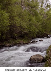 Vertical view of mountain river rapids flowing through forest in Andorra, with silky moving water, rocks, and soft natural light.